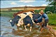 Steffensen, 
Poul (1866 - 
1923) Dänemark: 
Die Kühe werden 
getränkt. Öl 
auf Leinwand. 
Signiert ...