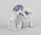 Royal 
Copenhagen, 
porcelænsfigur 
af to 
Pointerhvalpe.