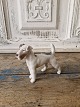 Klicken Sie 
auf ein 
Foto, um 
das große 
Bild sehen