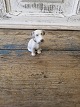 Klicken Sie 
auf ein 
Foto, um 
das große 
Bild sehen