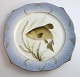 Royal Copenhagen. Angelgestell Nr. 19. Modell 3002. Durchmesser 22,5 cm. 
Cyprinus tinca. Hergestellt vor 1923. (1 Wahl)