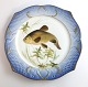 Royal Copenhagen. Angelgestell Nr. 19. Modell 3002. Durchmesser 22,5 cm. 
Cyprinus tinca. Hergestellt vor 1923. (1 Wahl)