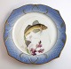 Royal Copenhagen. Angelgestell Nr. 19. Modell 3002. Durchmesser 22,5 cm. Trigla 
gurnardus. Hergestellt vor 1923. (1 Wahl)