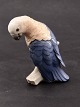 B&G parrot no. 
2019