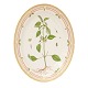 Royal 
Copenhagen 
Flora Danica 
grosse Platte 
3517. L: ...