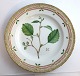 Royal 
Copenhagen 
Flora Danica. 
Menüe Teller. 
Entwurf # 3549. 
Durchmesser 25 
cm. (1 Wahl). 
Alnus ...