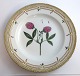 Royal 
Copenhagen 
Flora Danica. 
Menüe Teller. 
Entwurf # 3549. 
Durchmesser 25 
cm. (1 Wahl). 
...