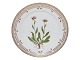 Royal Copenhagen Flora Danica, frokosttallerken.Dekorationsnummer 20/3572.Udfra ...