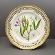 Royal Copenhagen, Flora Danica; Dinner plate #3553