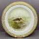 Royal Copenhagen, Flora Danica Animal; Dinnerplate 25,5 ...