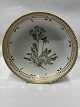 Flora DanicaRound bowl 20.9 cm.Polemonium Humite willd.