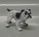 Dahl Jensen 
1135 English 
Bulldog (DJ) 10 
cm Marked with 
the Royal Crown 
and DJ 
Copenhagen. 
1st. ...