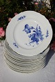 Royal 
Copenhagen 
Blaue Blume 
geschweift. 
Flach, Teller 
Nr. 10-1623. 
Durchmesser 
22cm.  ...