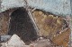 click to zoom