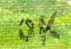 klik for zoom