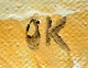 klik for zoom