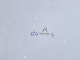 klik for zoom