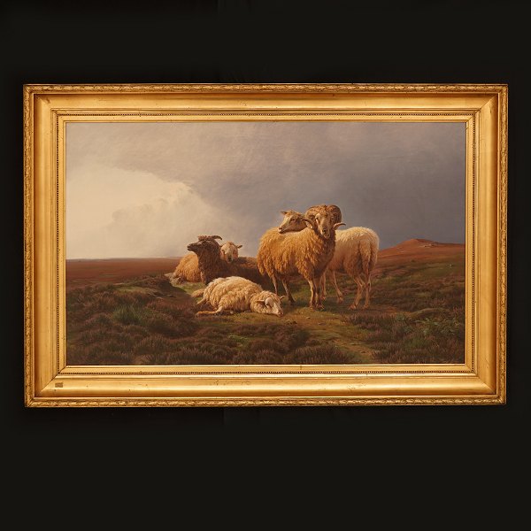 Wilhelm Zillen, 1824-73, sheeps in the field. Signed and dated 1866. Oil on 
canvas. Visible size: 61x98cm. With frame: 80x117cm